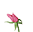 !