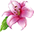 !